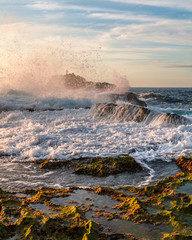 Puerto Rico the Enchanted Isle