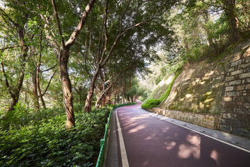 Obraz premium Footpath in a public park