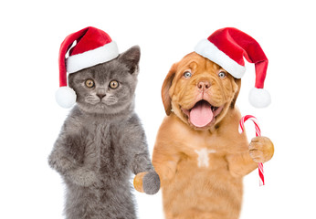 Funny pets in red christmas hats with candy cane. isolated on white background