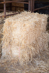 close up of a hay bale