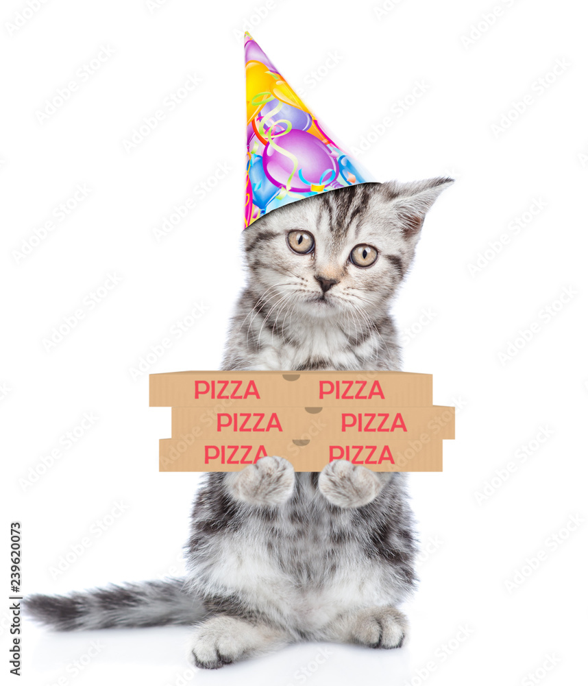 Poster funny kitten in party hat with pizza boxes. isolated on white background