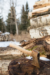 portrait of an axe