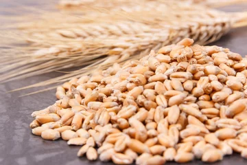 Fototapeten Rye or wheat grains and ears of cereal © ratmaner