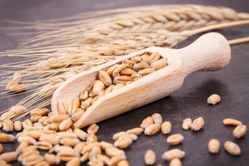 Tuinposter Cereal seeds with spoon and ears of rye or wheat grains in background © ratmaner