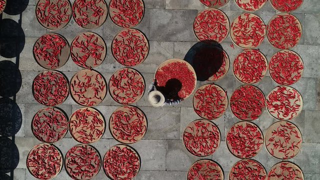 Overhead drone shot of two farmers carrying baskets of dried chili peppers in a traditional village in Anhui province, food production in countryside China