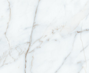 natural white marble slab closeup