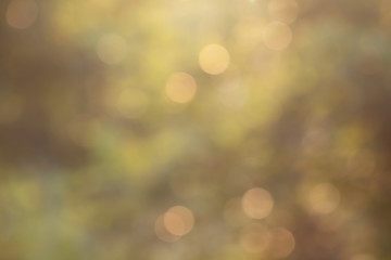 Tree Leaves bokeh for nature background and save green concept,abstract,soft and blur focus