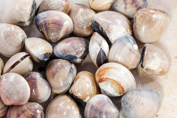 Shellfish at a local farmers market
