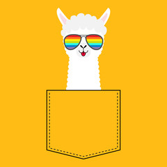 Alpaca llama face head in the pocket. Rainbow glasses. Cute cartoon animals. Kawaii character. Dash line. White and black color. T-shirt design. Baby yellow background. Flat design. © worldofvector