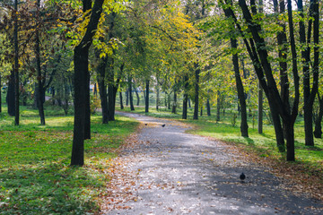 Fototapeta na wymiar Morning walk on the autumn park.