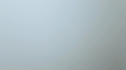 Two Corporate Business People Shake Hands