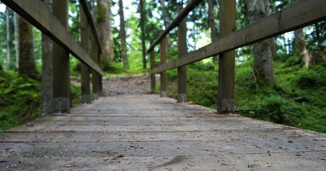 Wanderweg Brücke Wald