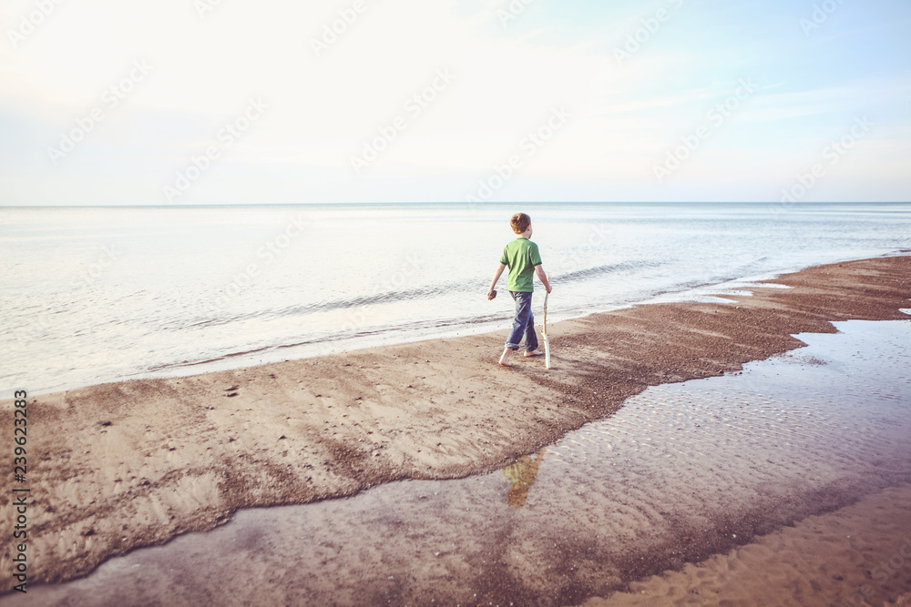 Wall mural boy walking down the beach with a walking stick