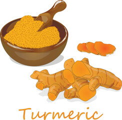 Turmeric (Curcuma longa Linn) powder and root on white background vector illustration.