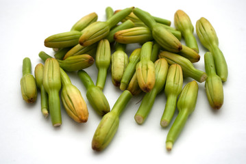 Cacayas de silvestres de Guerrero