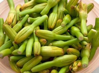 Cacayas de silvestres de Guerrero