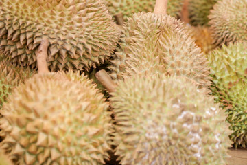 Naklejka na ściany i meble A heap of durian fruit at the farmers market