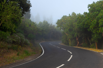 Asphalt road leaving into the distance. Morning fog.