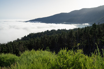 The morning mountain valley. View from under the clouds. Tenerife. Canary Islands. Spain. View from the viewpoint - 