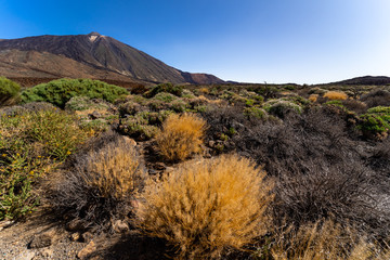 The lava fields of Las Canadas caldera and Teide volcano in the background. Tenerife. Canary Islands. Spain.