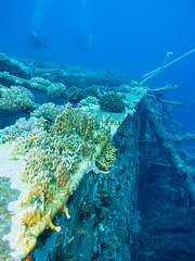 Wreck of passenger ship Salem Express at the bottom of Red Sea in Egypt.