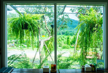 Landscape view from the window for relaxing time, green nature beside the window, coffee bar, peaceful place for take a rest in the morning, Flare light through the window in the morning