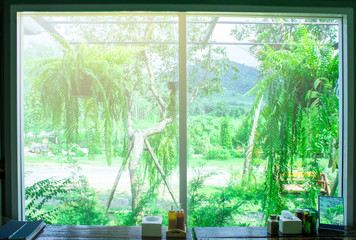 Landscape view from the window for relaxing time, Window interior design with green plant ouside, Flare light through the window in the morning