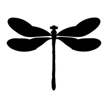 recommend clip art: vector, isolated, dragonfly flies, insect, silhouette