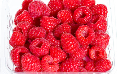 Raspberries on White Backdrop