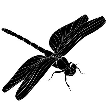 recommend clip art: dragonfly flies, insect, silhouette