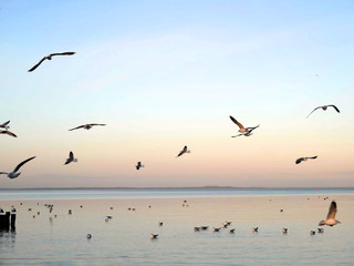 Am Strand im Herbst und Winter