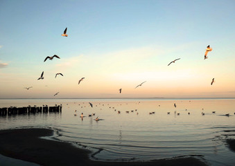 Am Strand im Herbst und Winter