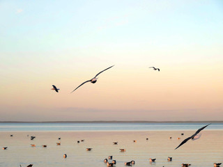 Am Strand im Herbst und Winter