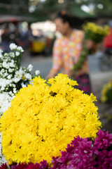 Crysanthemums at a road side Flower market