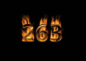 3D number 263 with flames black background