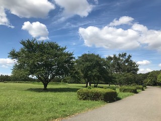 晴れた日の誰もいない朝の公園