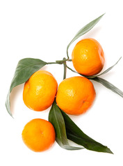 fresh tangerines on a white background