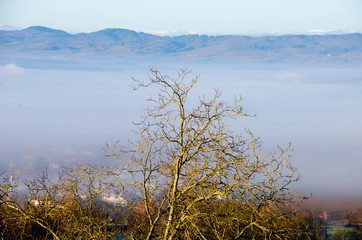 Die Hochburg in Emmendingen