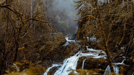 waterfall in the forest