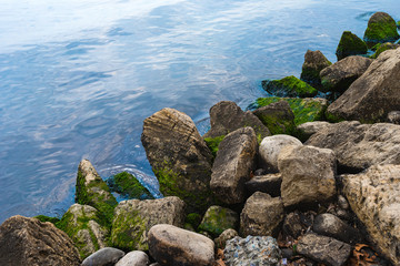 Fragments of rocks overgrown with moss on the shore