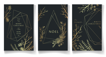 Set of golden winter cards, geometric trendy crystal design. Hand drawn sketchy graphics, branches, pine-tree, citrus, spices. Terrariums.