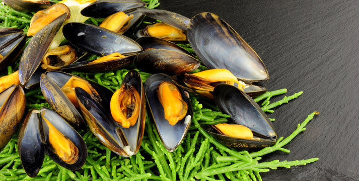 Cooked mussels with samphire on a stone slate background