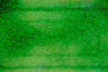Closeup green Celadon ceramic texture background vintage style