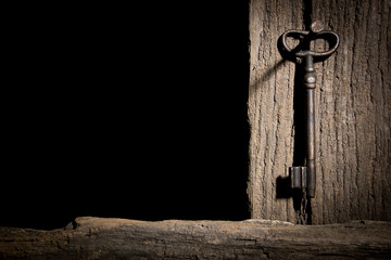 Old key on a log