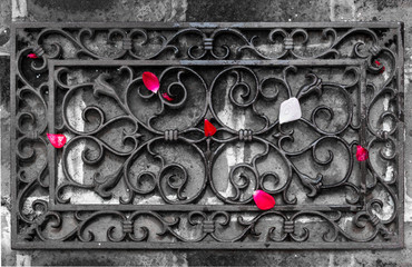 Petals of roses are scattered on a forged lattice.