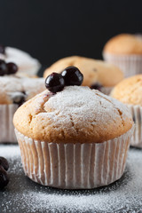 Traditional muffin on a black background. Close up