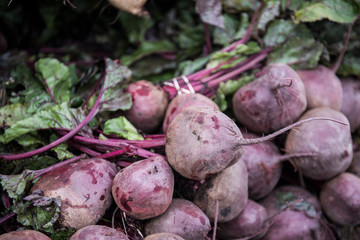 Fresh Veggies and Fruits