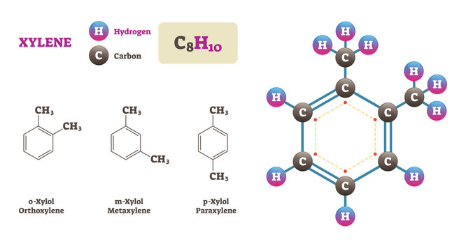 Xylene molecule vector illustration. Hydrogen and Carbon structure diagram.