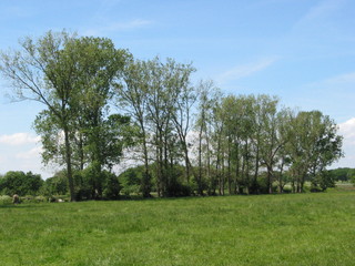 Fotosafari durch Ellerbek