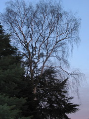 Abendstimmung in Rellingen